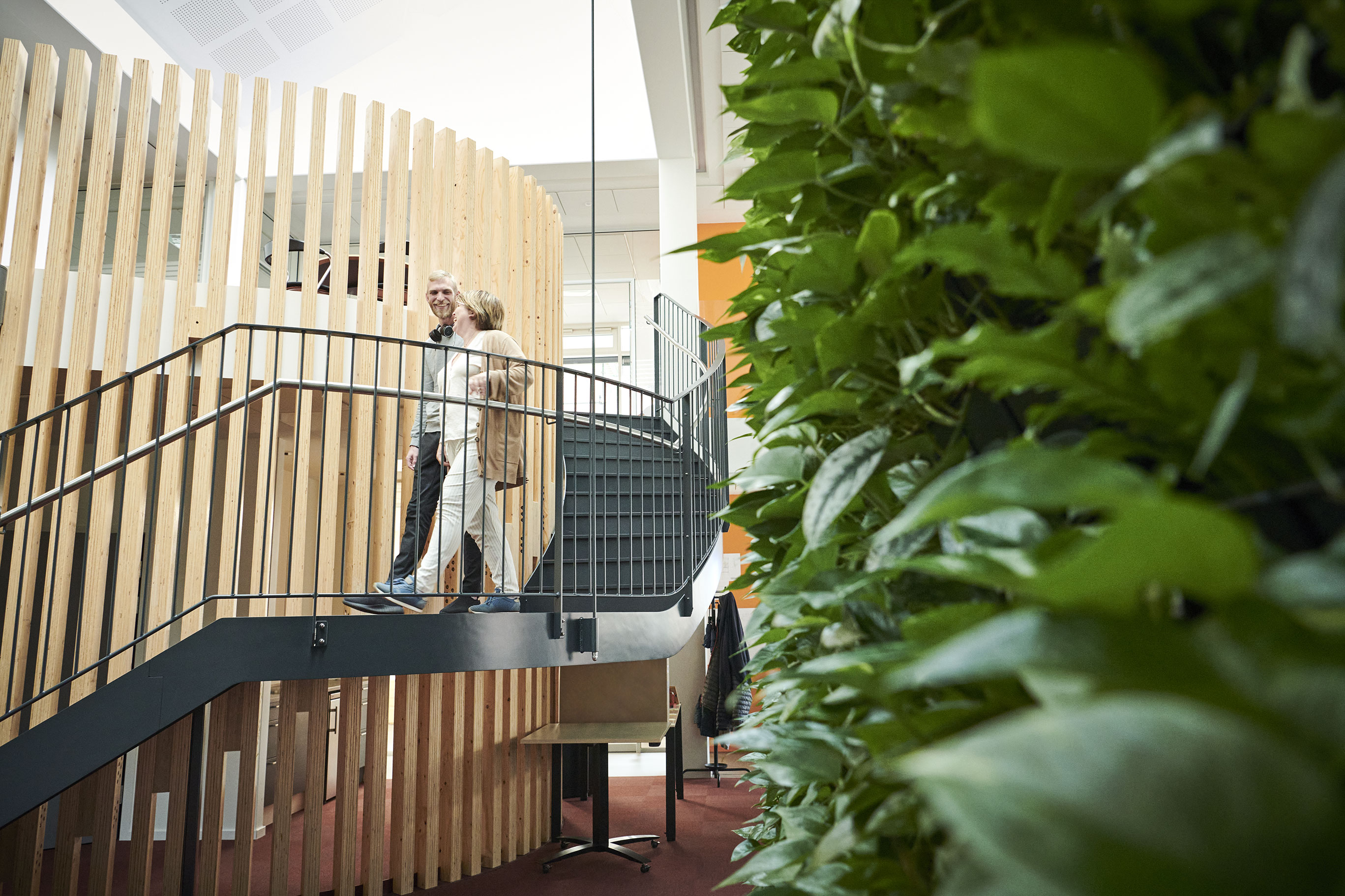 What is social dumping?